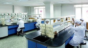 豪華賽皇宮，藥價為何高？——透視哈藥六廠事件中的網絡技術與輿論影響